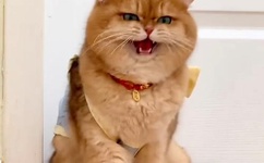 宝宝我就进去一点不疼的